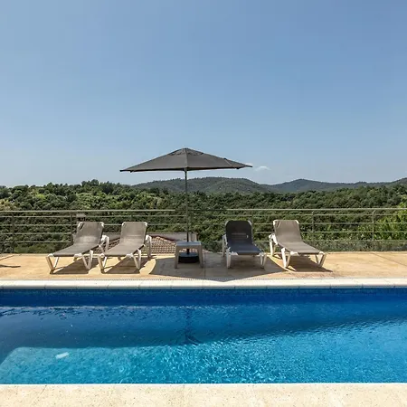 Olive * Lloret de Mar