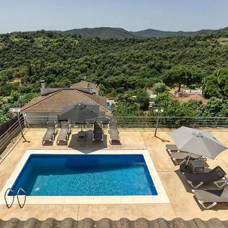 Olive * Lloret de Mar